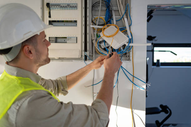 Best Ceiling Fan Installation Electrician  in Holt, AL